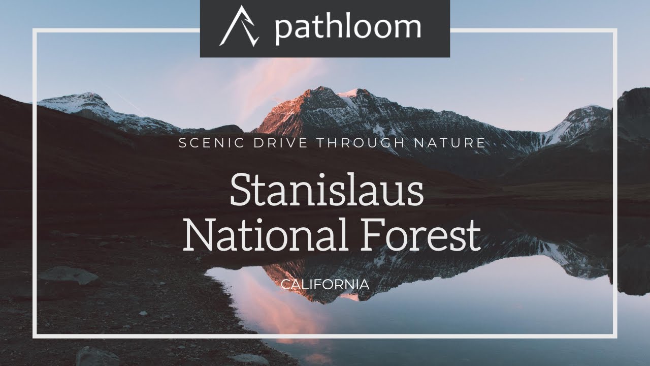 Scenic Drive through Nature | Stanislaus National Forest, California | Pathloom - Outdoors Made Easy