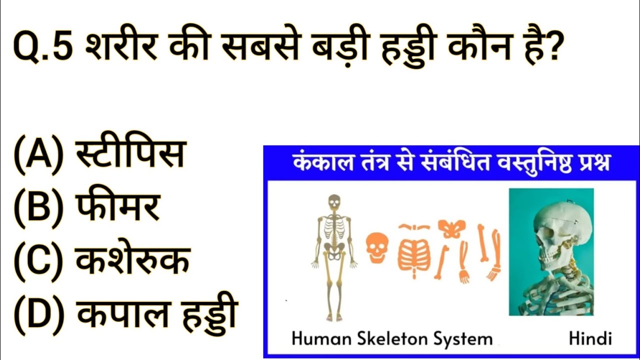 कंकाल तंत्र से संबंधित वस्तुनिष्ठ प्रश्न || Human Skeleton System Mcq In Hindi || Human Science MCQ