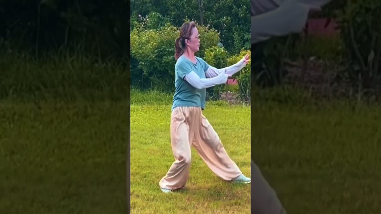 Final Lesson 3 Yang8 Tai Chi Sifu Tsui Tin Ying to Hawaii Taiji Health and Sports Association