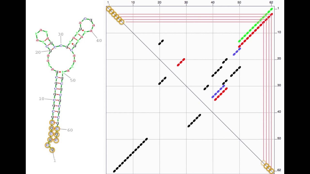 Understanding RNA folding energy dot-plots