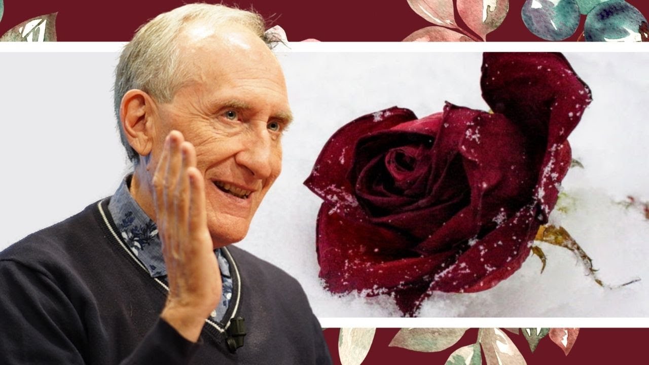 Siamo rose sepolte nel ghiaccio - Meditazione e contemplazione