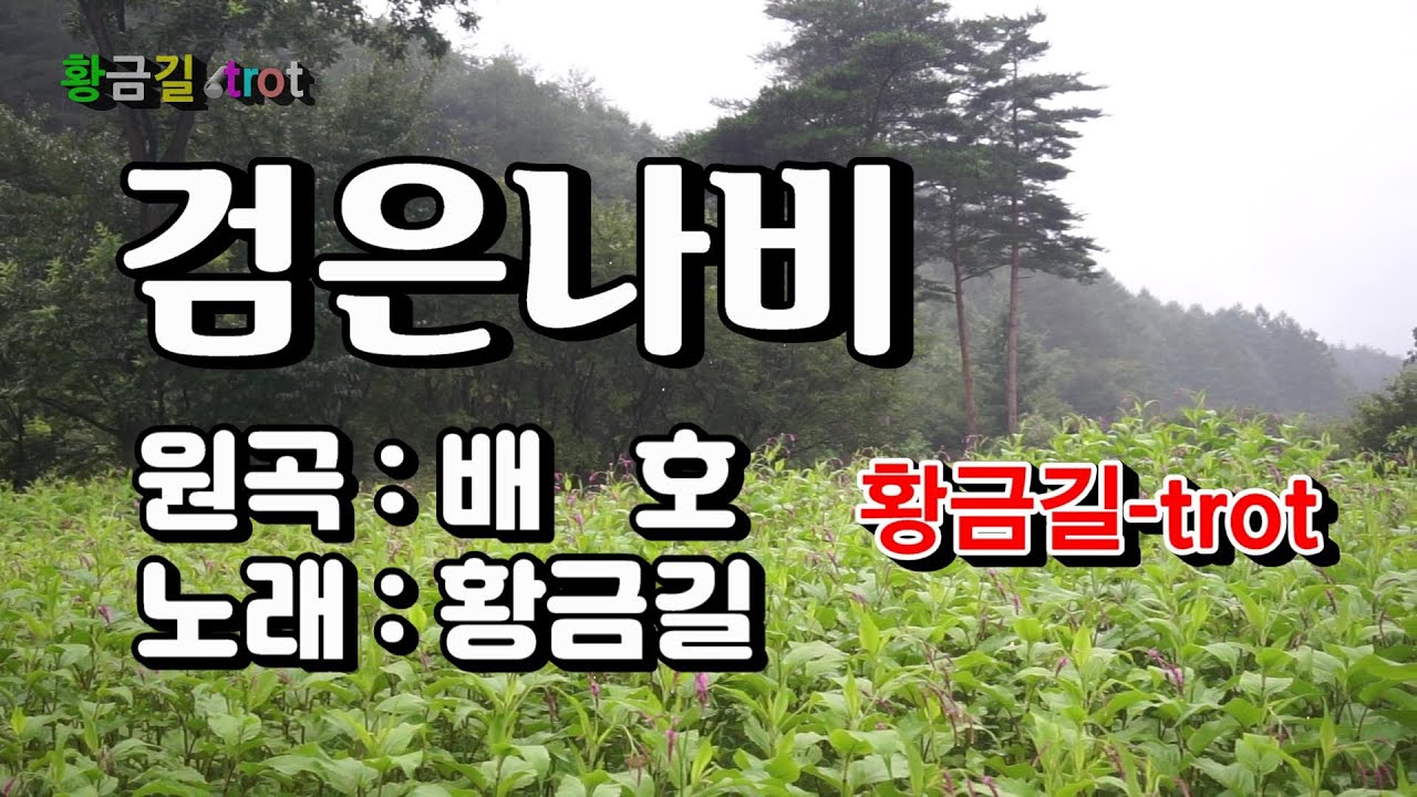 [Cover] 황금길 - 검은나비  (원곡 /배호)  영상가사