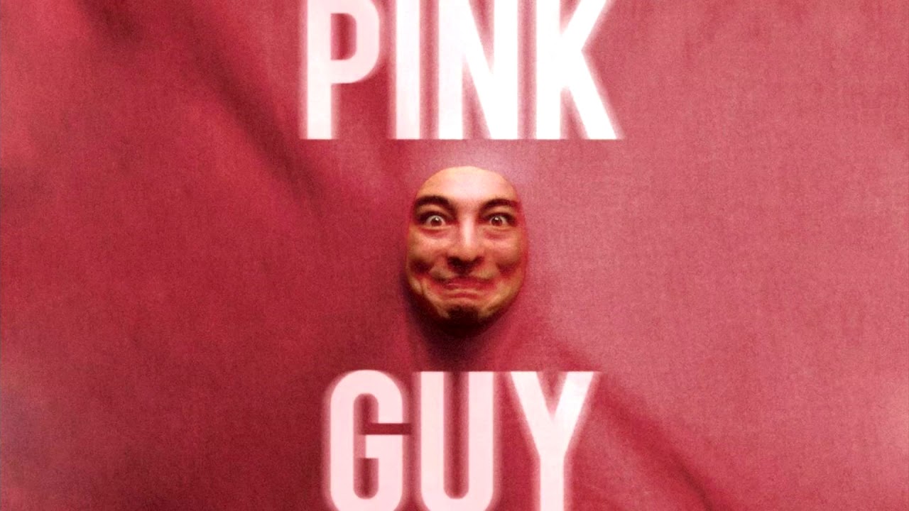 Pink Guy - Tribute To Ronald (Album Version)