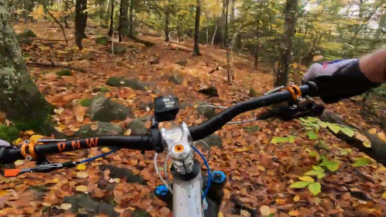 Bear Brook State Park MTB | Hemlock, Bear Hill, Big Bear