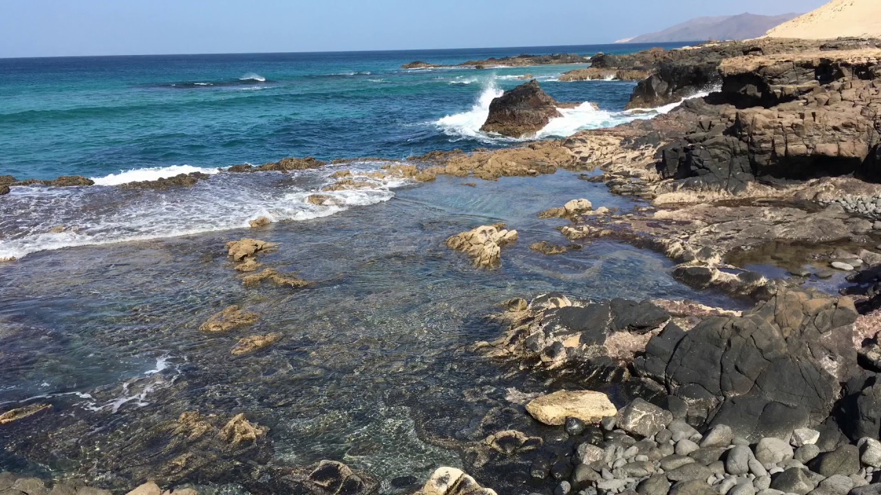 P&aacute;jara 1/1/2017