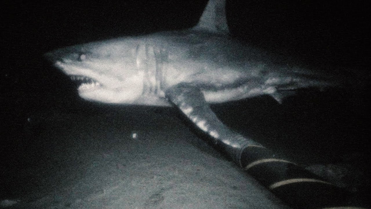 A horror game about the deep sea..
