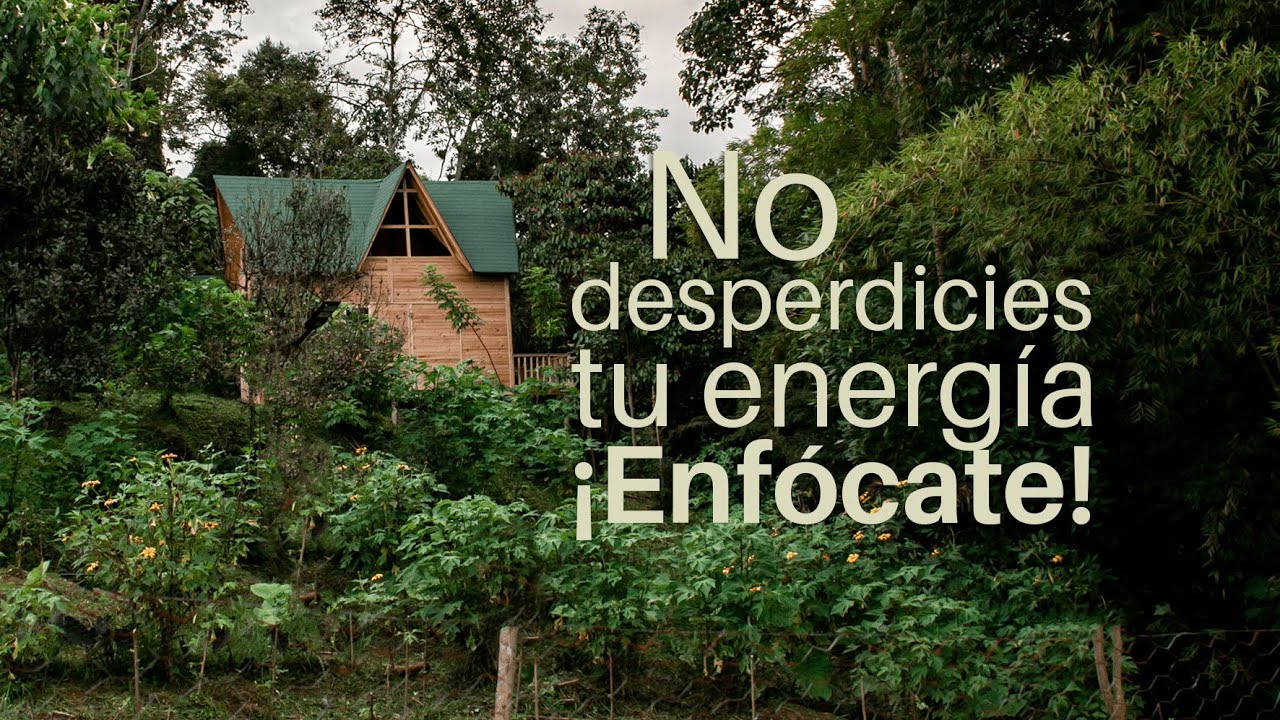 Plan de acción para volver al campo