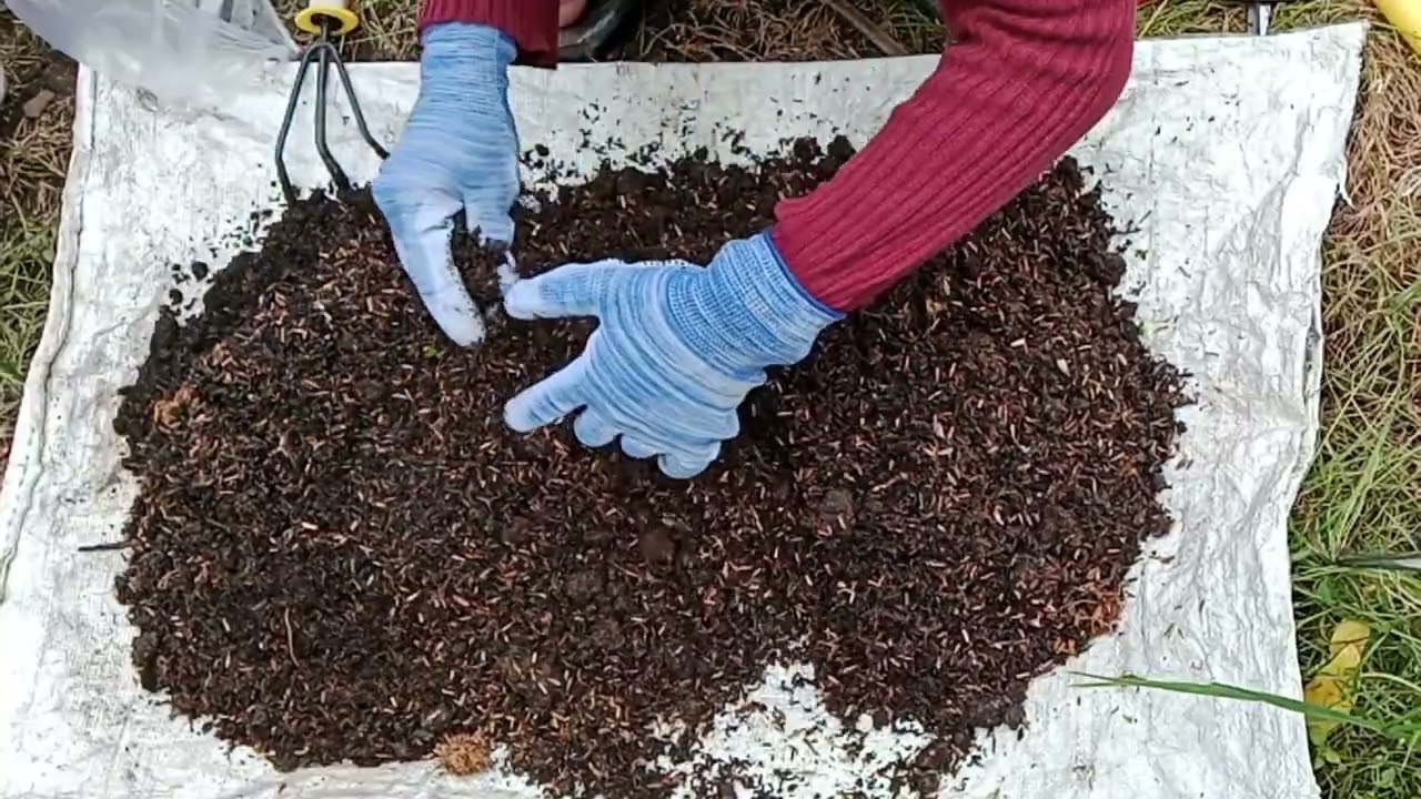 Mencampur Media Tanam | Berkebun