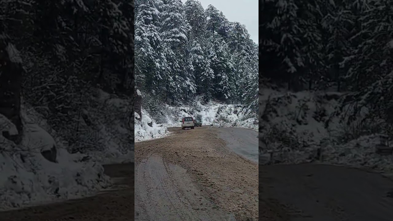 My Hills My Pride ! Snow 2023 Kufri Shimla India. #nature #love #beautiful