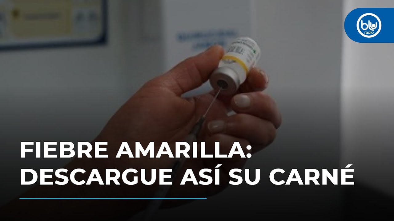 ¿Cómo consultar y descargar el carnet de vacunación contra fiebre amarilla?