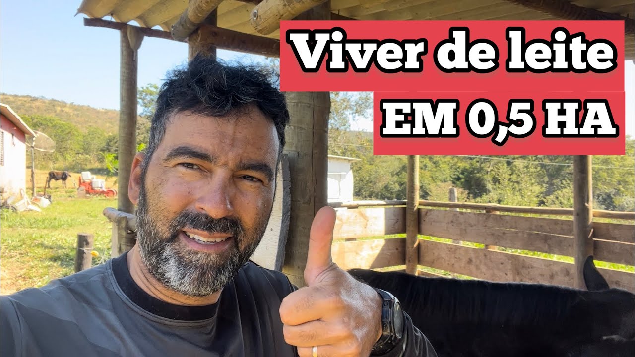 EU VI UM PRODUTOR QUE VIVIA DE LEITE EM 0,5 HECTARE | HOJE ISSO SERIA POSS&Iacute;VEL??