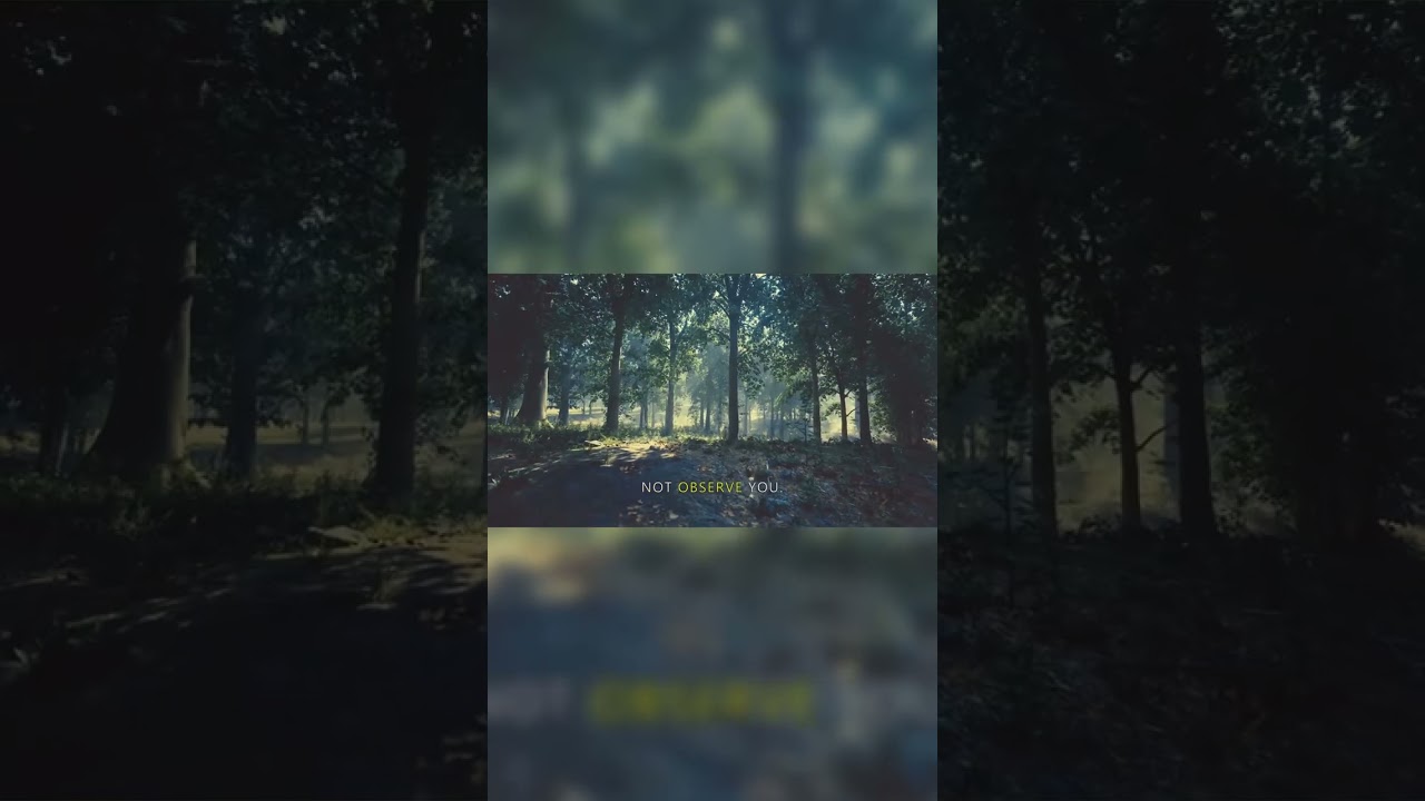 Breathe Into the Quiet Between the Trees 