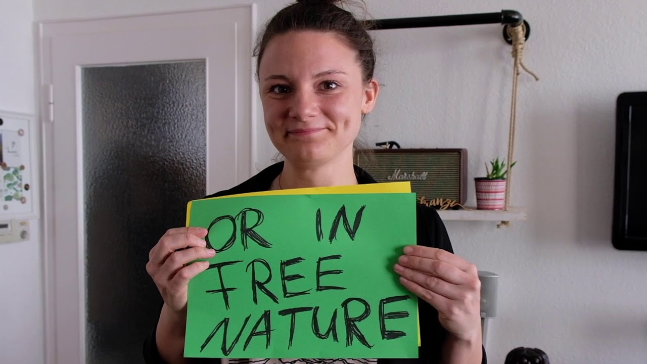 Grüße an die Schülerinnen und Schüler der Elisabeth-Selbert Schule Hameln