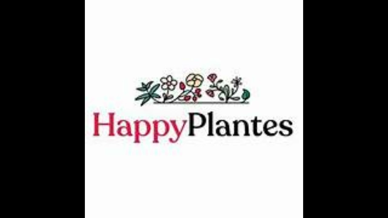 Happy plantes