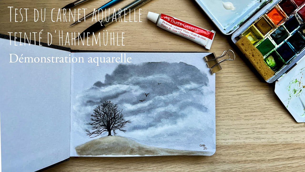 Test du carnet aquarelle teinté d'Hahnemühle / tutoriel aquarelle