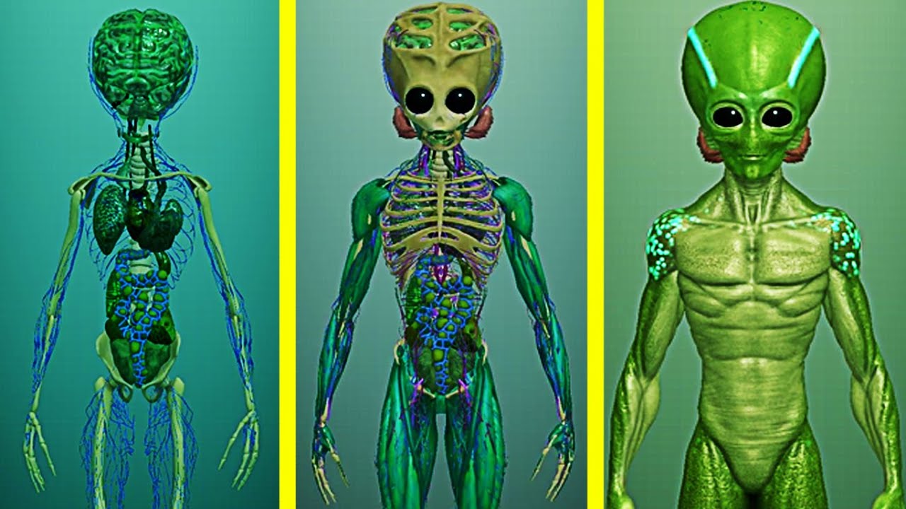 Idle Human! MAX LEVEL ALIEN & CLOTHES HUMAN EVOLUTION! Idle Human Level 999? Pika Guyy