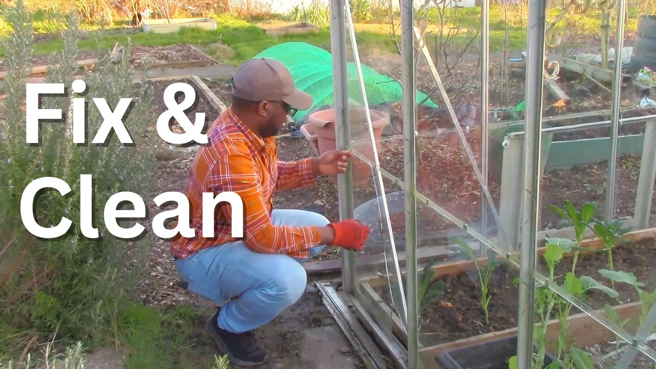 Preparing Containers & Raised Beds for Spring Sowing 🌱 Greenhouse & Polytunnel Repair