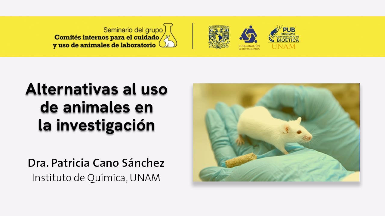 Seminario CICUALES, &ldquo;Alternativas al uso de animales en la investigaci&oacute;n&rdquo;