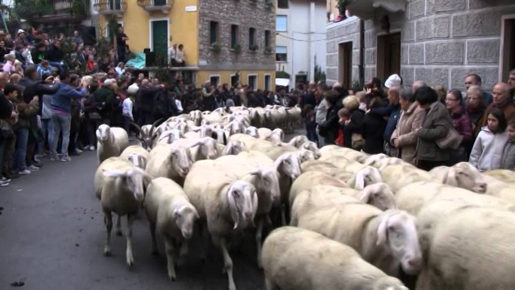 la sfilata delle pecore al Ritorno dal bosco 2013