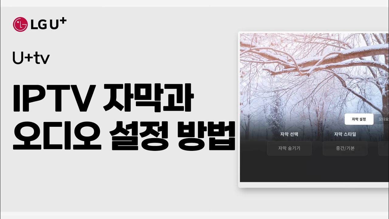 IPTV 자막과 오디오 설정하는 방법 [U+tv]
