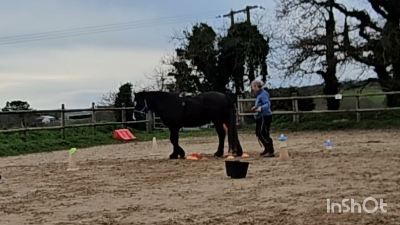 Concours equifeel caval go 2025: Marina Gautier & Ti'noir, longues rênes manche 1.