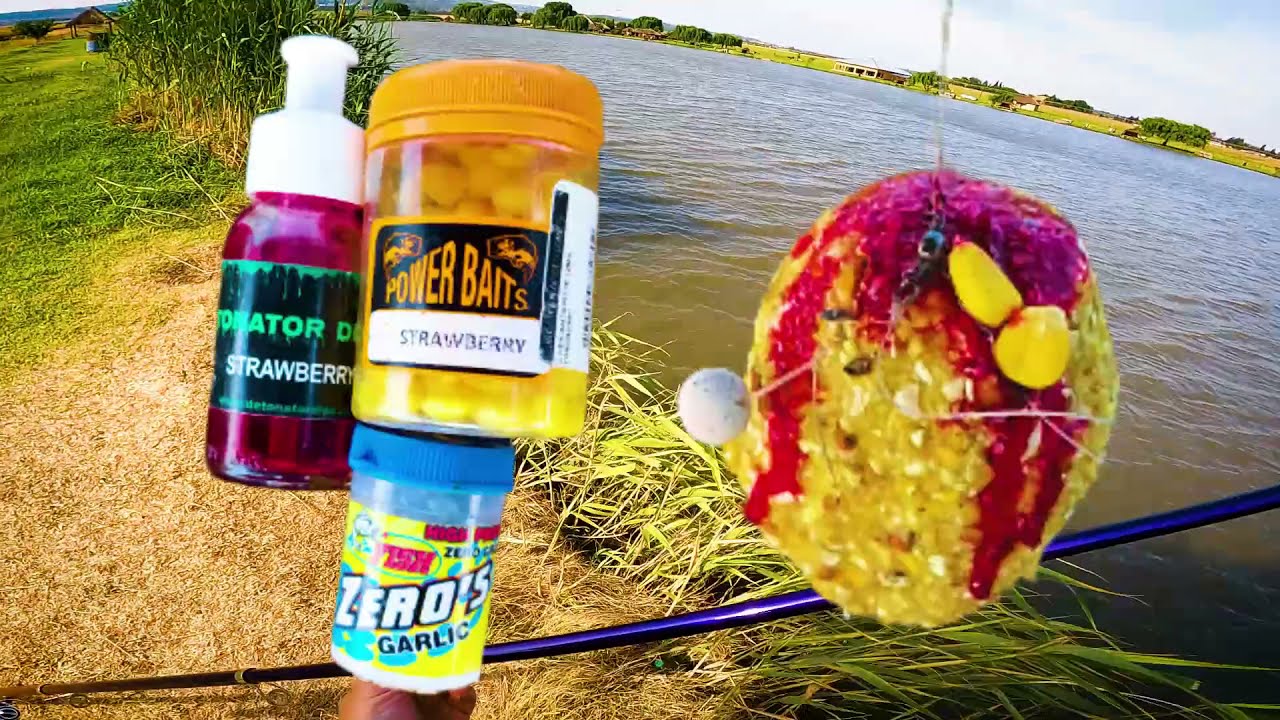 Как поймать карпа на плотине R50 в Альбертоне &mdash; CarpFishing.Tips &mdash; весна