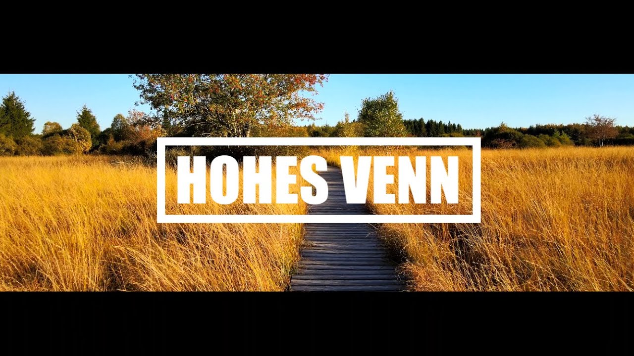 Hohes Venn | 4K Cinematic Drone Video