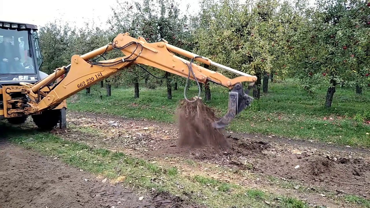 wyrywanie drzew owocowych