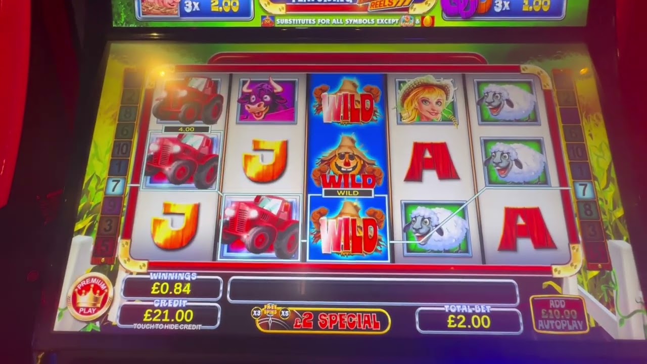 FOBT SLOTS! Lucky chuckies egg race,lady of Avalon,mermaid queen,gold fish reel action. Wild fever 🤨