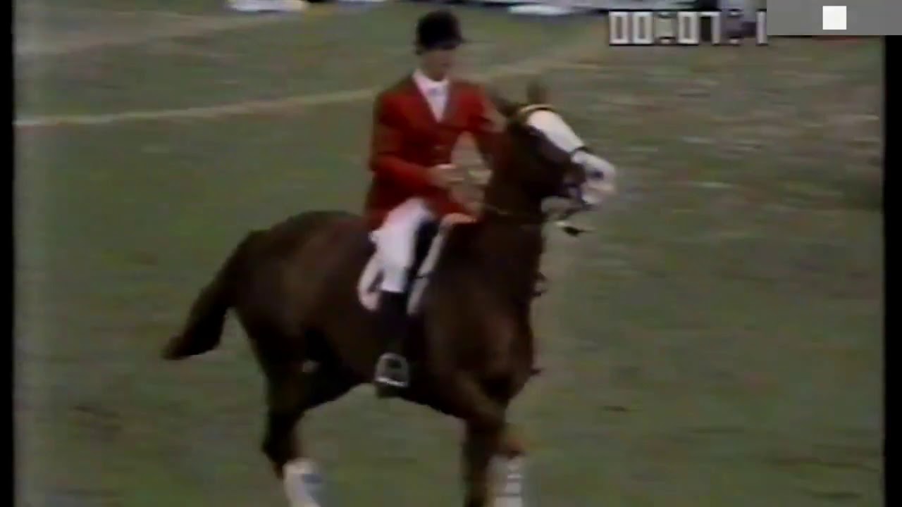Norbert Koof - Prince Holly