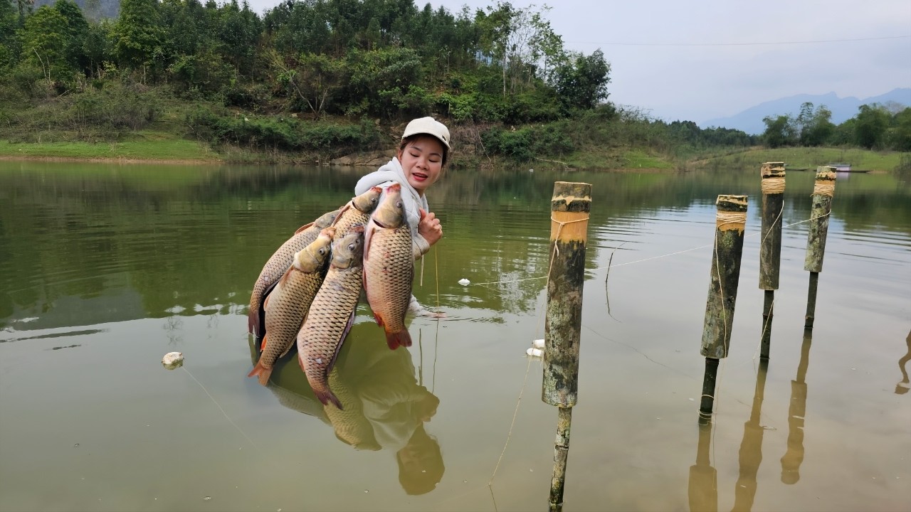 Fishing trip using bamboo tubes in a natural lake. The girl unexpectedly caught a huge carp.