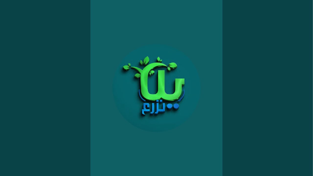 بدأت قناة 