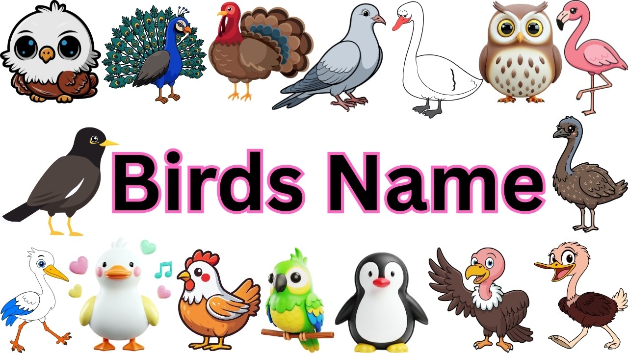 Animals Names | Birds Names | Insects Names | Reptiles Names | Learn Animals Name  | Kidi Kutti