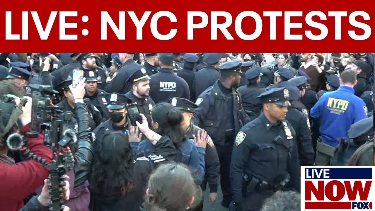 Watch: Chaotic pro-Palestine protests in New York