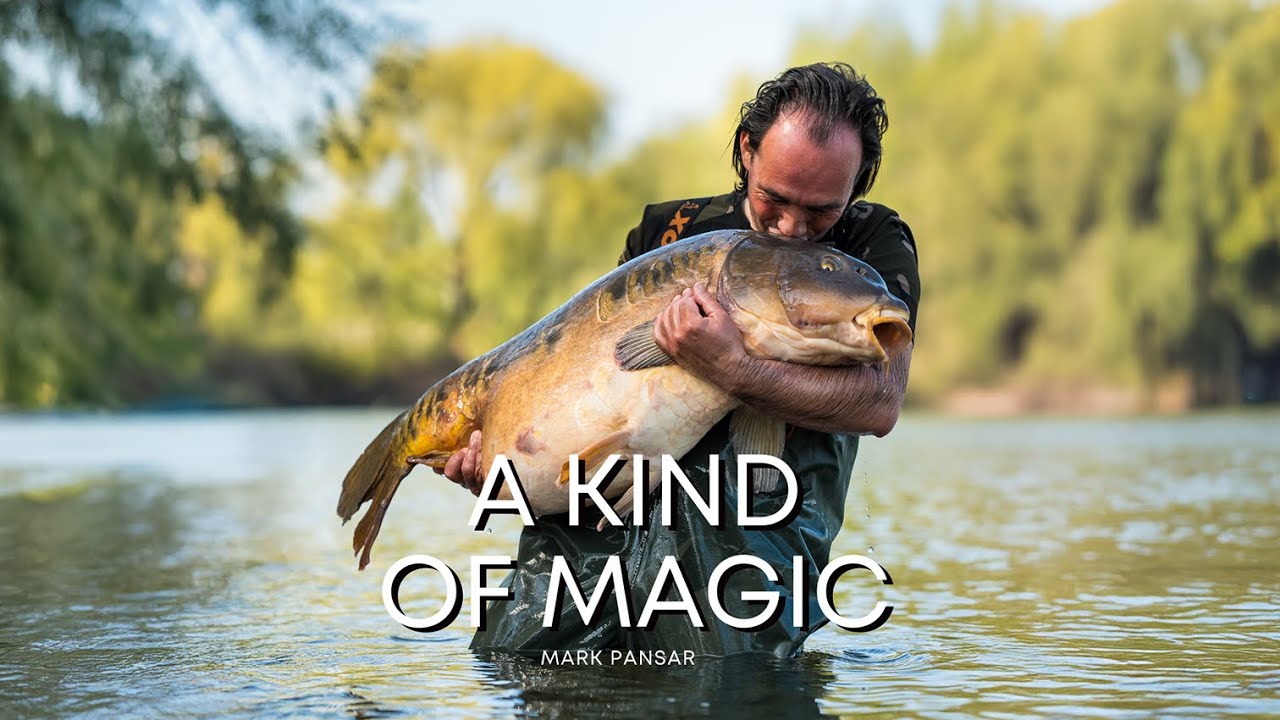 Het ongelooflijke verhaal van 6 magische weken! 🪄✨ | Mark Pansar