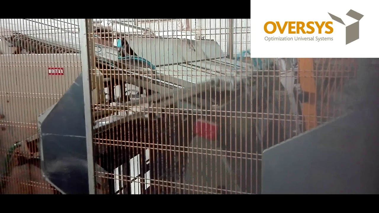 VIDEO OVERSYS U40020217 RABOLINI IMPERIA PLATEN DIE CUTTER WITH PLATEN PREFEEDER