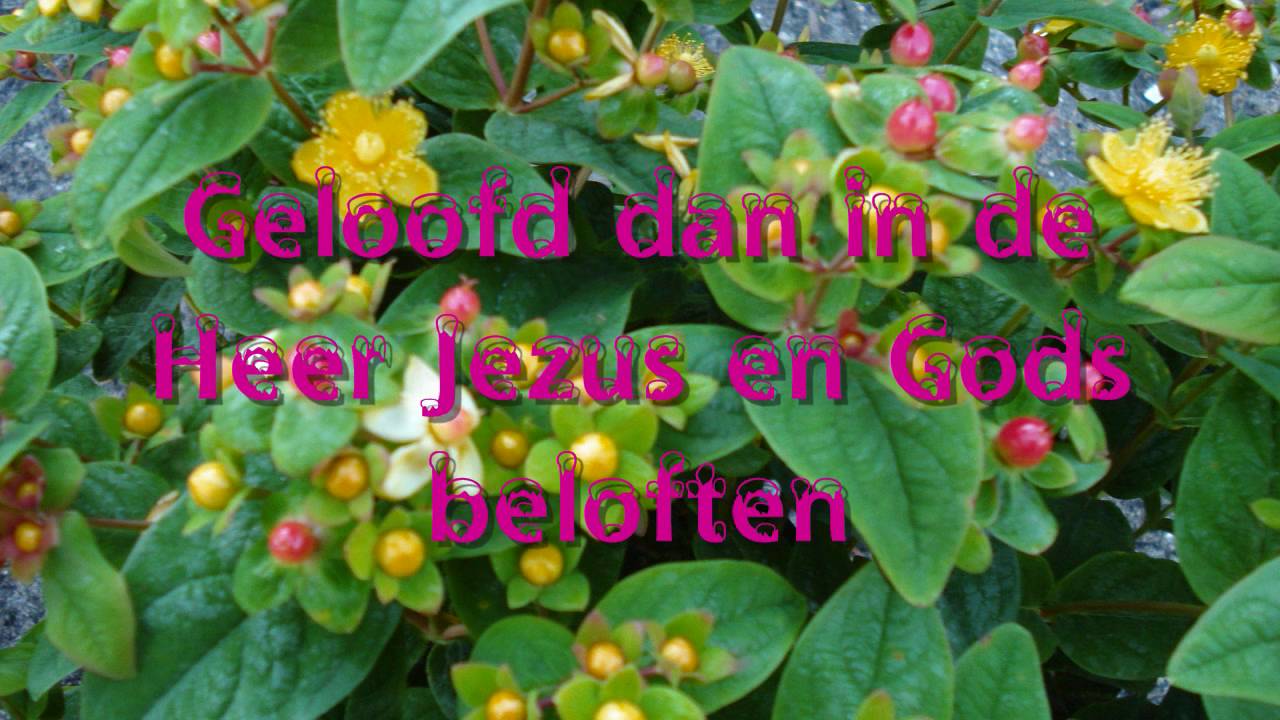 Beloften Gods