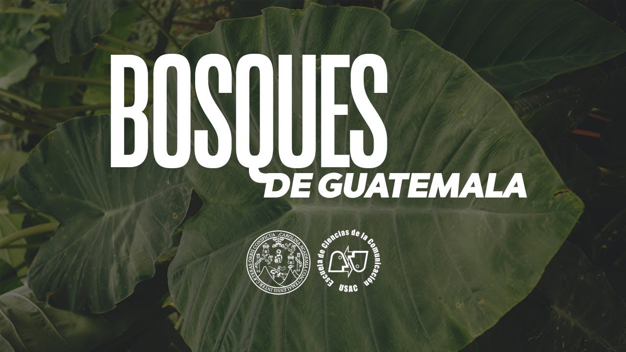 PRESERVACIÓN DE BOSQUES EN GUATEMALA