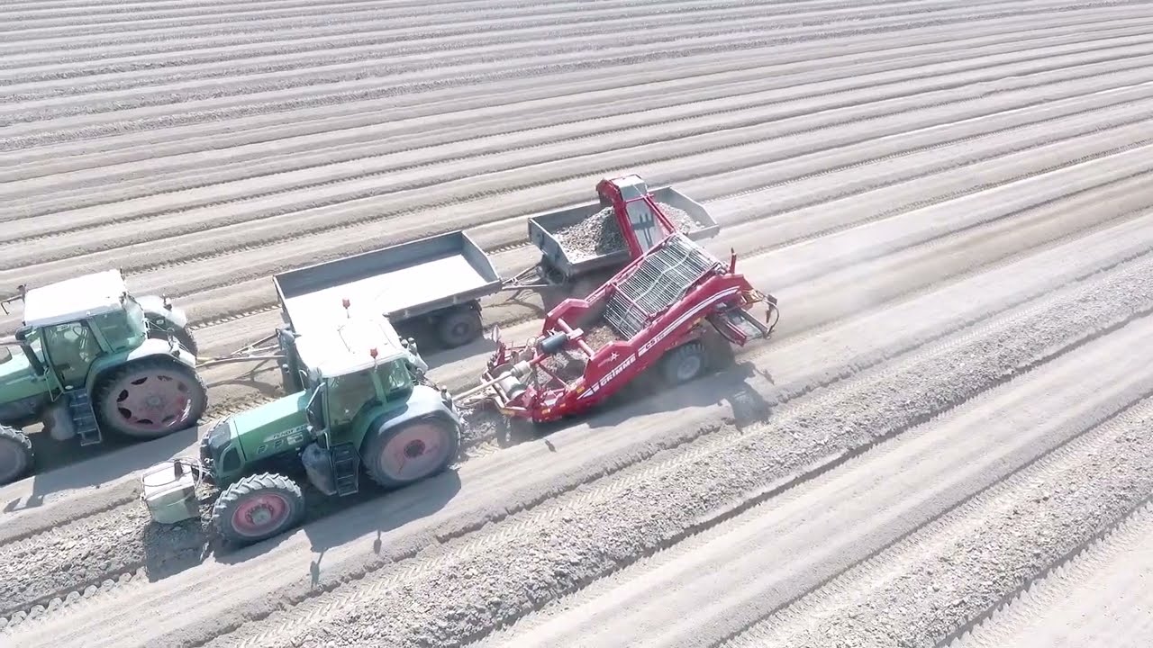 Odkamienianie / Wykopki kamienia / uprawa ziemniakow/ Grimme CS 150 / Fendt 820 / Ursus 1014 /Vario