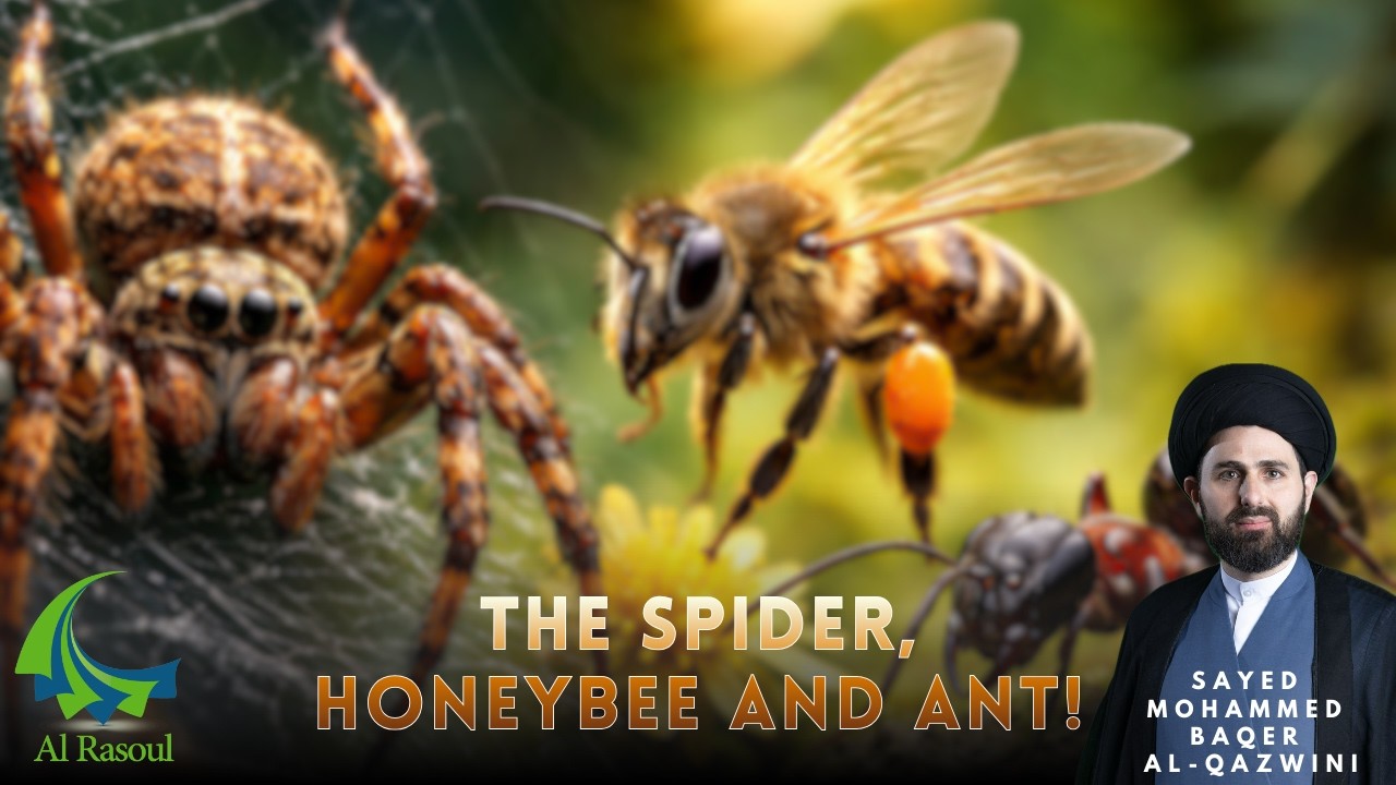 The Spider, Honeybee and Ant! - Sayed Mohammed Baqer Al-Qazwini
