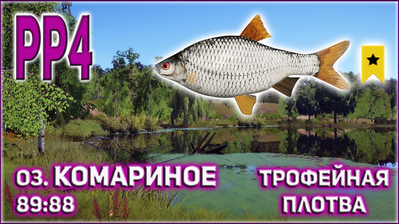 РР4 ТРОФЕЙНАЯ ПЛОТВА КОМАРИНОЕ / РУССКАЯ РЫБАЛКА 4 ТРОФЕЙНАЯ ПЛОТВА ОЗЕРО КОМАРИНОЕ / RF4