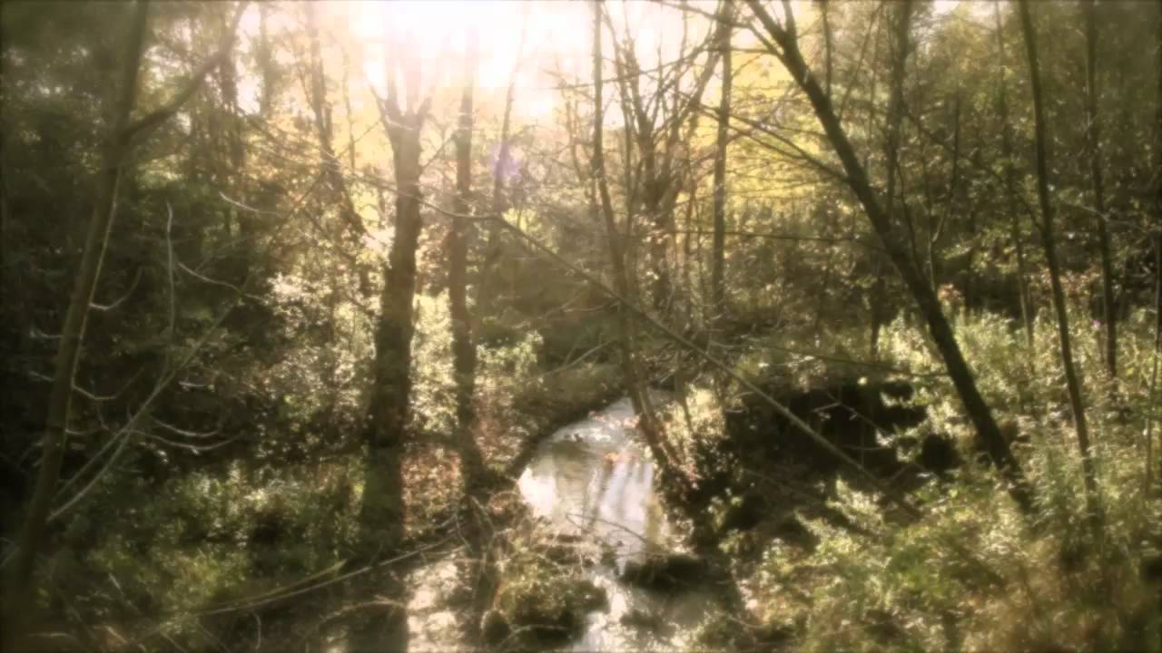 Boards of Canada – BOCUMA / ROYGBIV [Cryonaut Extended Cover]