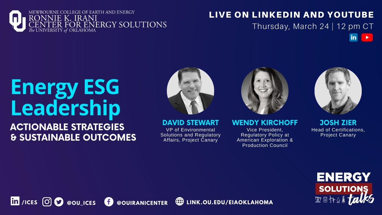 Energy ESG Leadership: Actionable Strategies  & Sustainable Outcomes