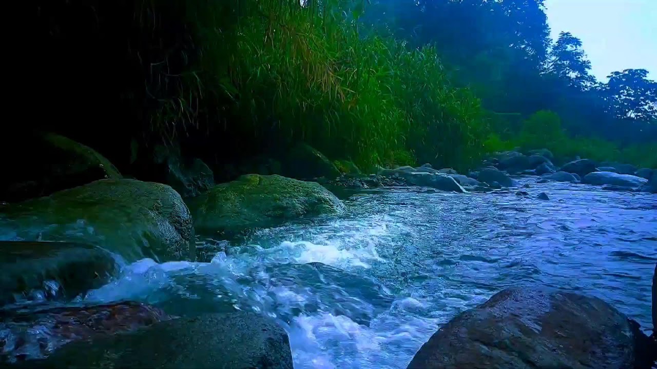 🌊 Peaceful River Valley ASMR Sounds for Deep Sleep, Relaxation & Anxiety Relief