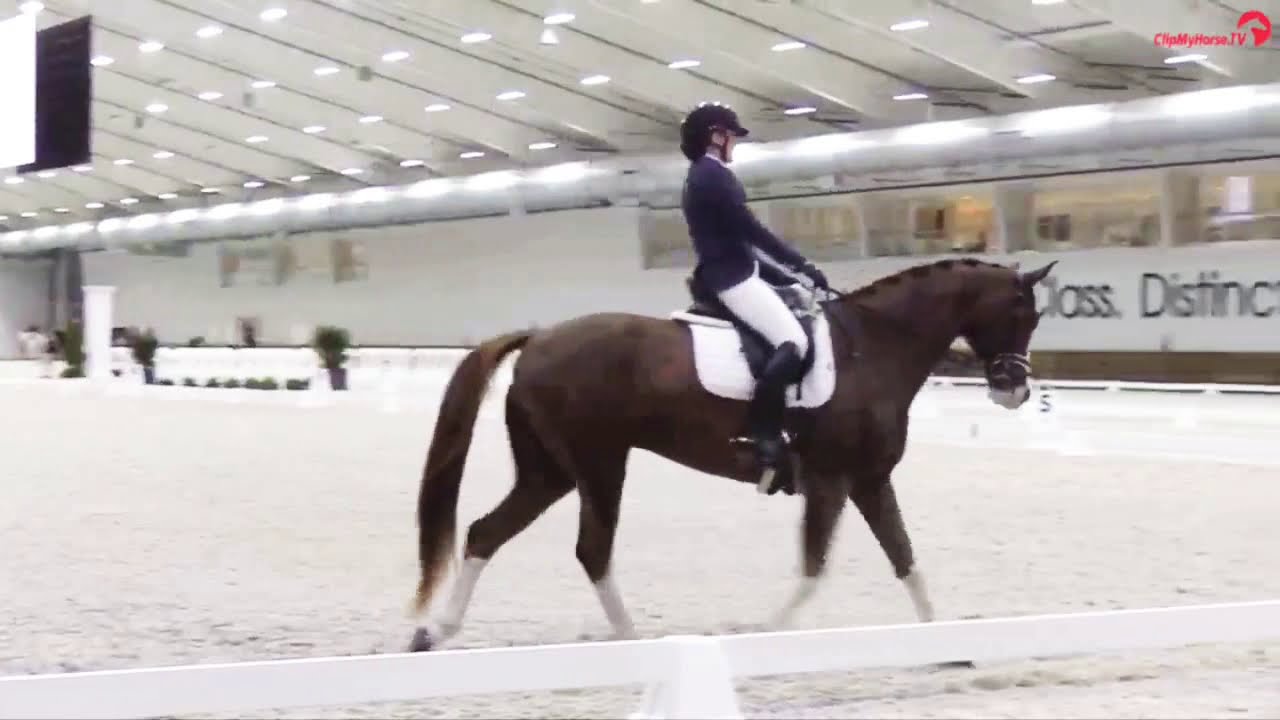 Second Level Dressage Musical Freestyle