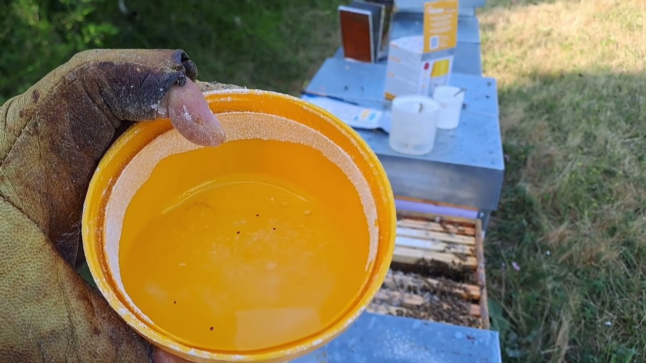 Suivi Ruche 12 [EP06] Comptage varroa 👾 Lutte acharnée et Traitement #apiculture #abeille #bee #miel
