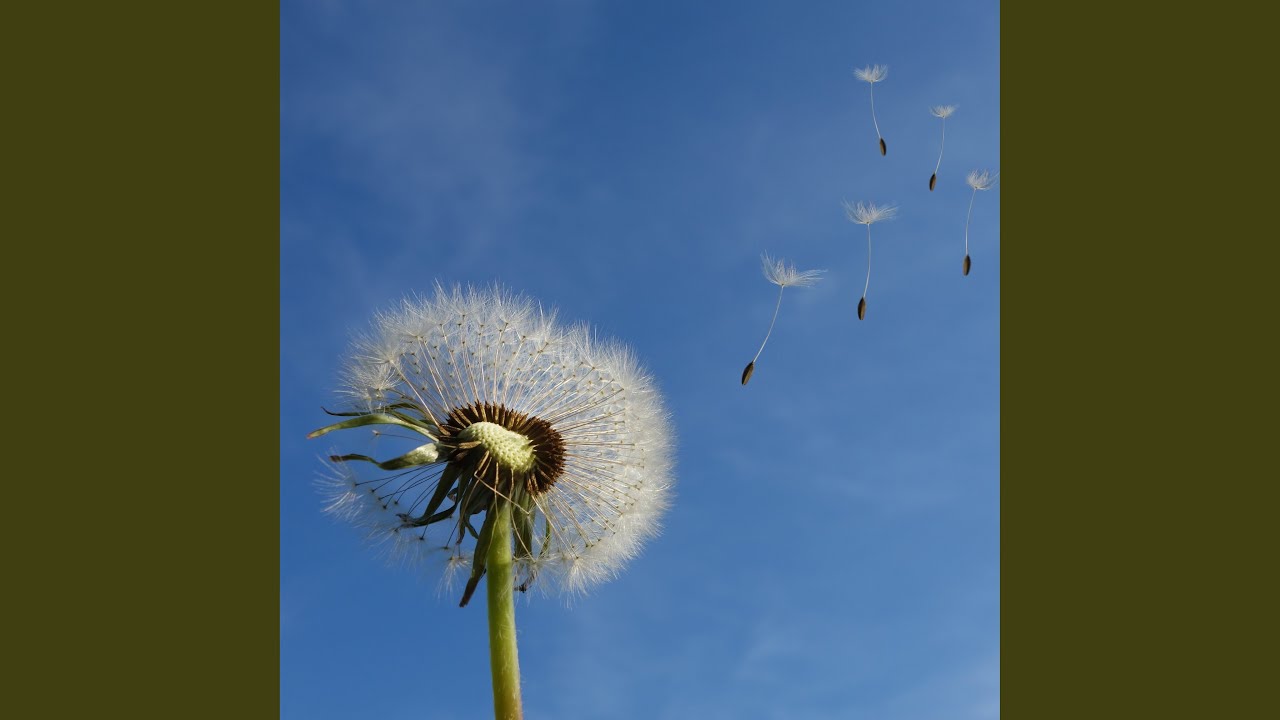 Gratefulness