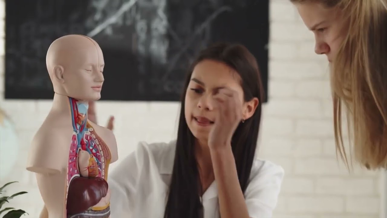 Ce &icirc;nseamnă visul despre organe interne? &mdash; Interpretarea visului despre intestine și măruntaie