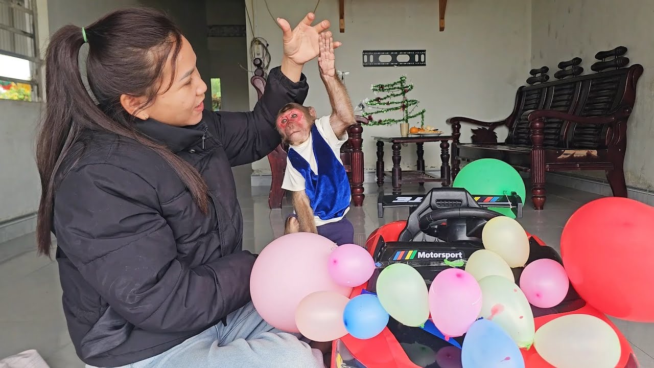 Heartwarming Moment : Monkey SU with Supercar from Viewers