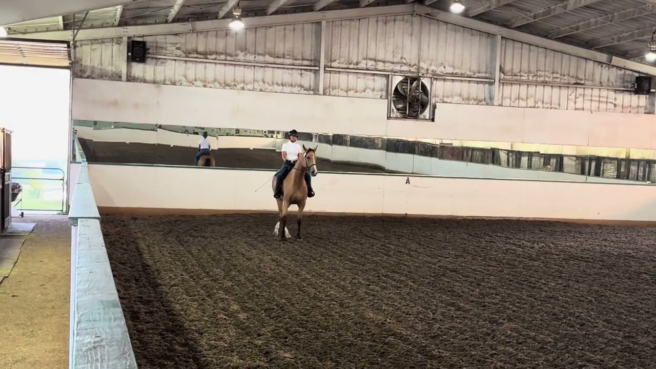 Waterfords Luxor (Western Dressage) - Level 2 test 2 - 74.556%
